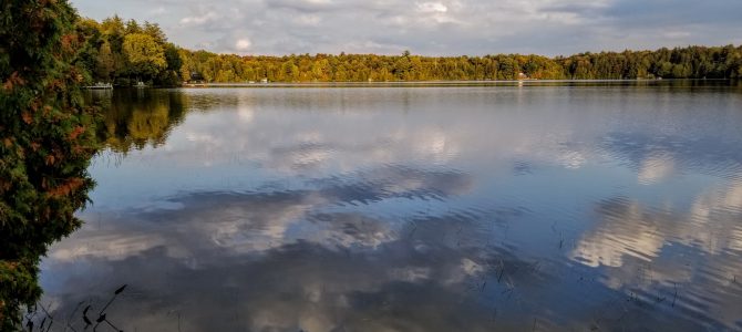 Our Lakes are in Good Health. Five Steps we Must All Take to Keep Them that Way.