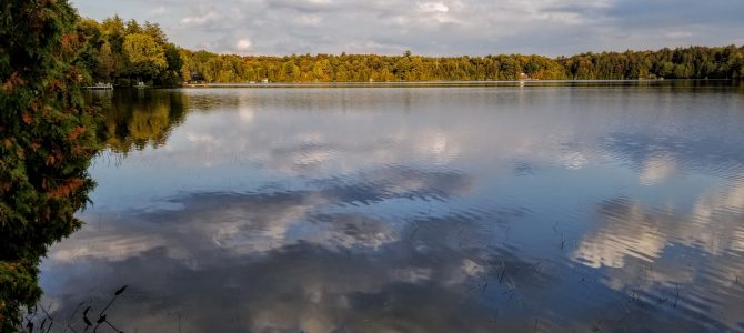 Nos lacs sont en bon état. Cinq gestes à poser pour les garder en bonne santé.