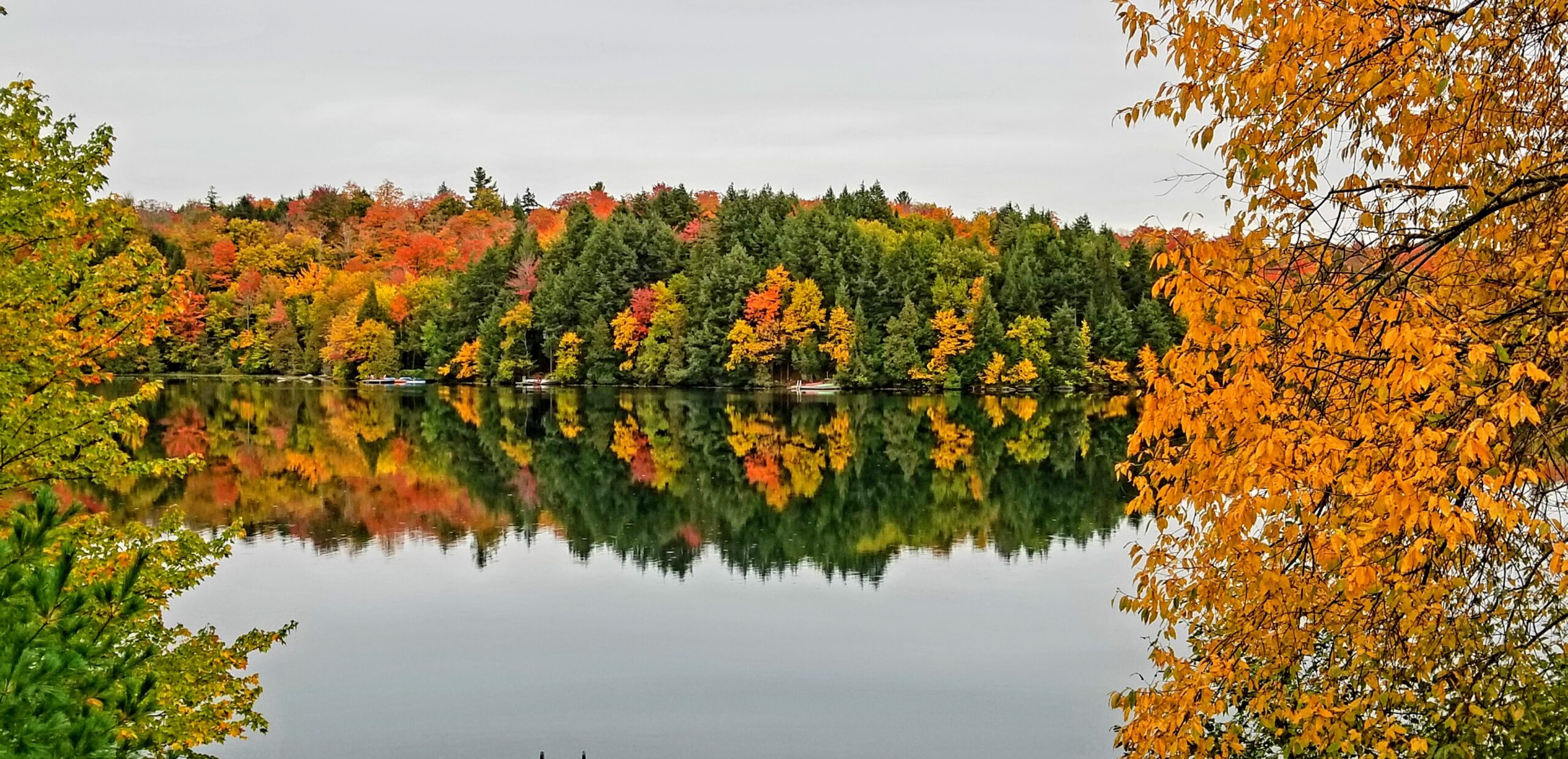 “All’s well that ends well”. Our fragile lake environment is now much better protected.