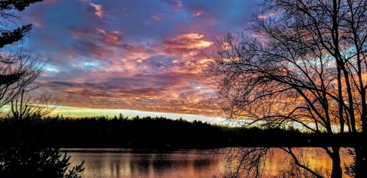 About our Lakes, Loons, Mussels and Beavers.