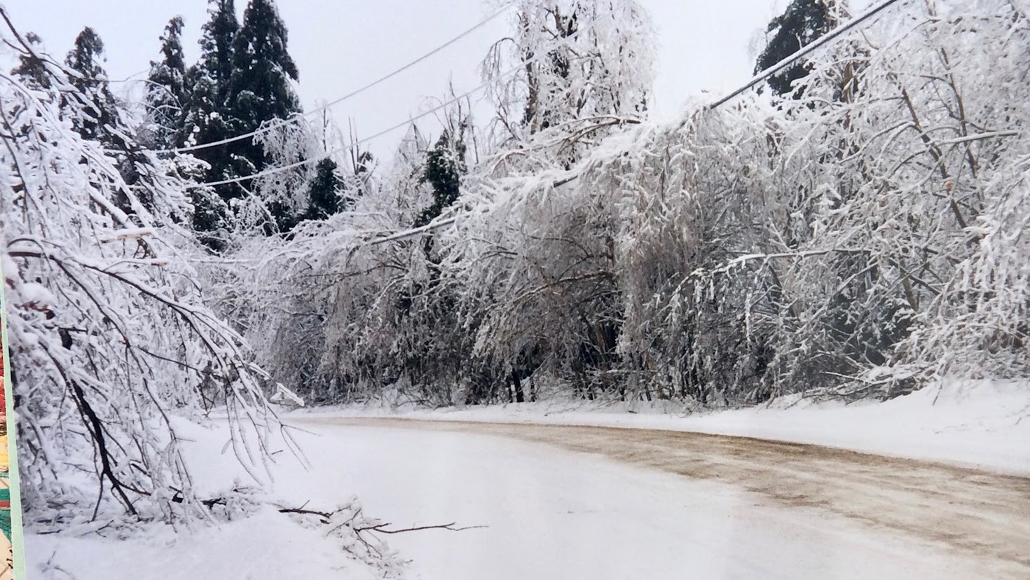 Dunany under the Ice: Memories of the Big Ice Storm of January 1998.