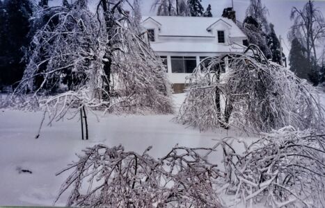 Lakeside view of our home